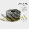 Hot Selling Stainless Steel Coil Nail with Good Quality